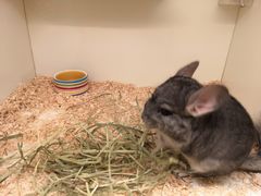 -龙猫仔乐园(惠福东路店)