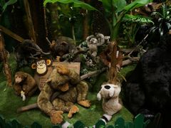 -济州岛泰迪熊博物馆