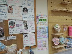 -汪说·狗咖·拼豆·宠物周边DIY(旺城大厦店)