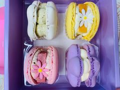 -好利来(七宝领展广场店)