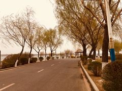 -丁香湖公园