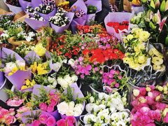 -三圣花乡旅游区