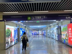 -岗子村(地铁站)