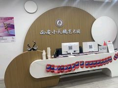 -西安小天鹅艺术团(金花路校区)