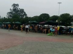 -海豚湾梦幻水上乐园