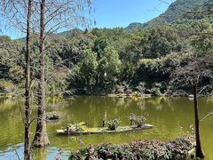 -深圳仙湖植物园