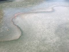 -蠡湖大桥公园