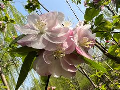 -元大都城垣遗址公园