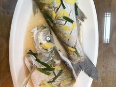 -观桥阁(锦溪店)