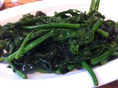 有机蔬菜-蝴蝶汇音乐酒馆(罗湖店)