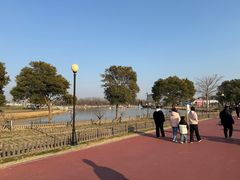 -荷兰花海