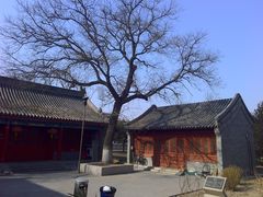 观音寺-永定门公园