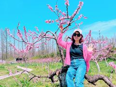 -上海长兴岛郊野公园