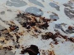 -燚青春东北泥炉烤肉(百合店)