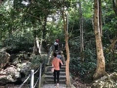 -七仙岭温泉国家森林公园