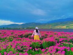 -新疆那拉提国家旅游度假区