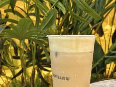 -SENTEA森茶(麦地丽日店)