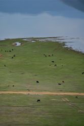 -纳帕海依拉草原