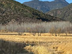 -泸沽湖国家级风景名胜区走婚桥