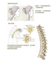 点击看大图 -JC·YOGA静禅瑜伽普拉提