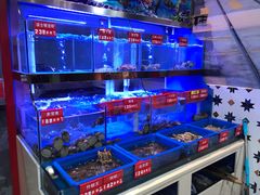 -小龍鳳·港式海鲜打边炉(沙湖路店)