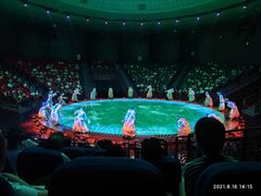 -南宁方特东盟神画