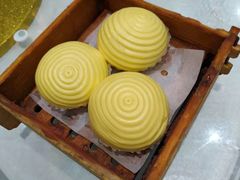 -鹅城
