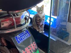-老胡烧烤(崂山店)