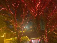 -悦真雅院·四合院·清真私房菜(雍和宫店)
