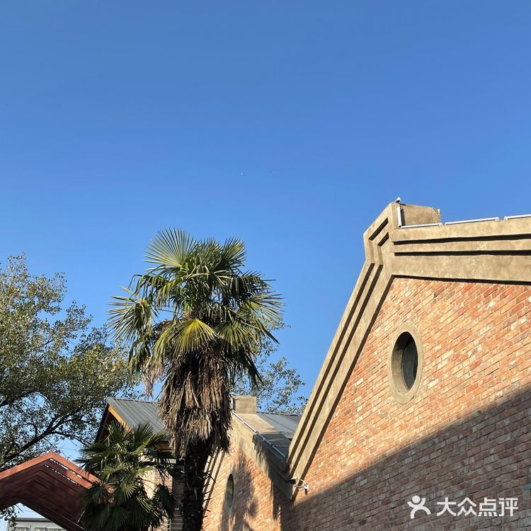 发现了一个洛阳新的打卡地 绝对是洛阳下一个网红打卡地