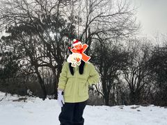 -太子岭滑雪场