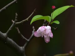 -共青国家森林公园-售票处