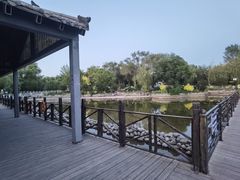 -鲤鱼山公园