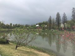 -常德桃花源景区