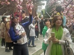 -西安青龙寺遗址景区