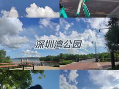 -深圳湾公园(南山区)