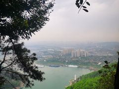 -铁山坪森林公园