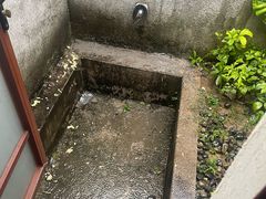 -候鸟水榕庄度假酒店