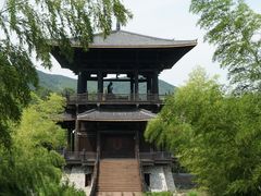 -大唐贡茶院