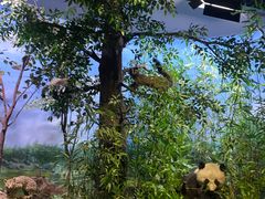 -陕西自然博物馆