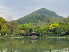 -八卦田遗址公园