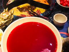 -蜀大侠火锅(森兰花园城店)