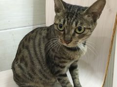 -合味道娟姨美食(堑头店)