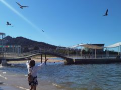 -海驴岛(荣成市)
