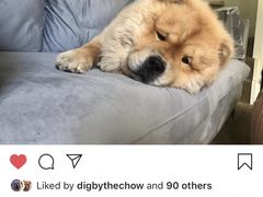 -Apple零售店(成都太古里店)