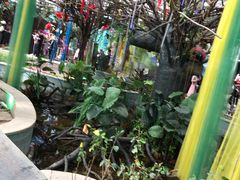 -石家庄市植物园