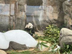 -香港海洋公园