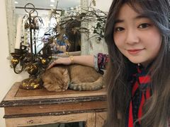 -共舞时光猫咖·狗咖(新街口店)