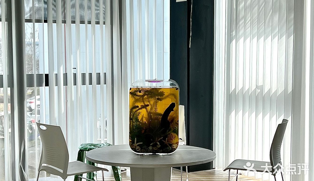 【扬州】｜极具艺术展氛围的西餐厅