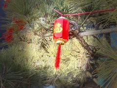 -观唐（国际）度假村温泉